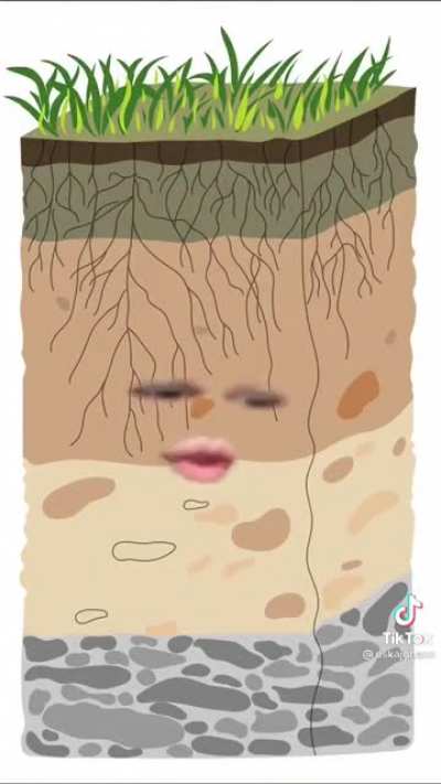 Very fertile soil