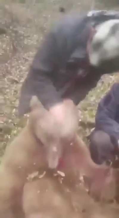 sıkıldım karadenizli orospu çocuk<wbr>ların<wbr>dan yeter lan
