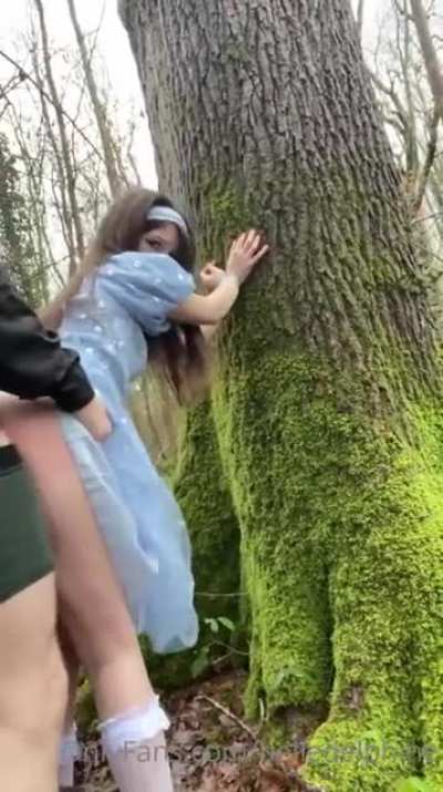 Görüntü kalitesi kötü ama idare eder.