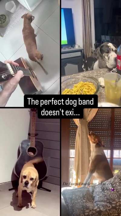 What's this band's name?
