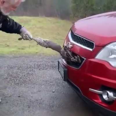Its stuck