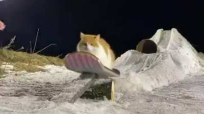 Extreme sports