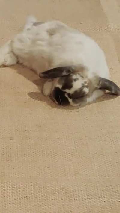 He is exhausted... Of eating and playing hahaha tough life.