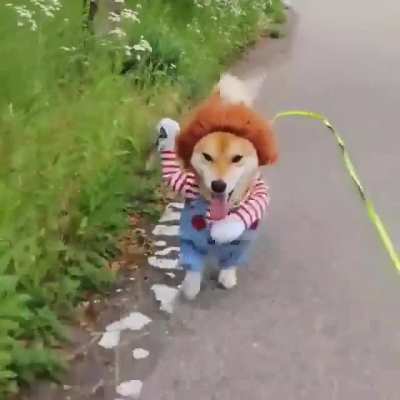 It's Chuckie 😂