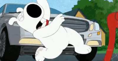 [Family guy]