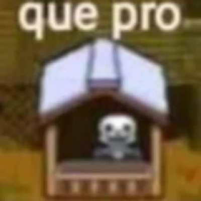 que pro