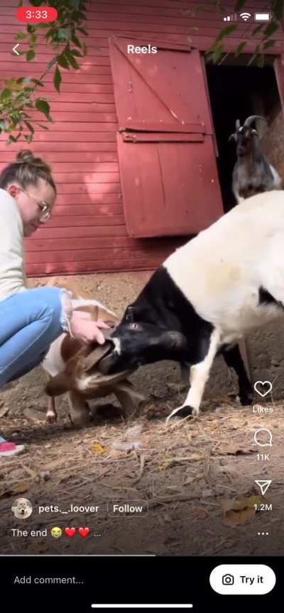 How’d they even
