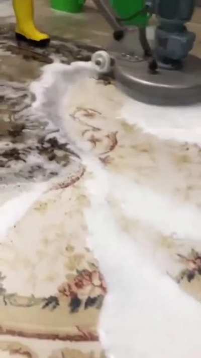 cleaning the rug.