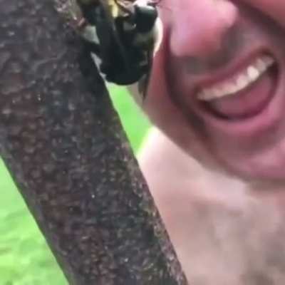 ..