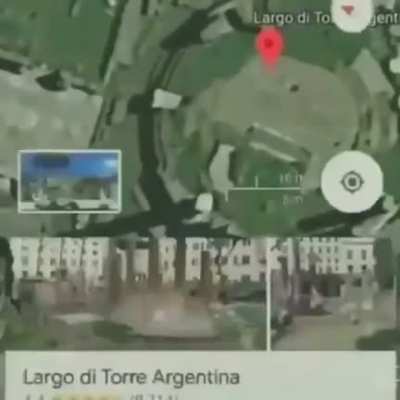 :o
