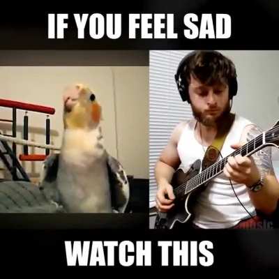 Are you happy
