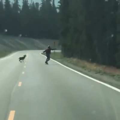 Minding your own business, boarding down the road