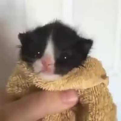 Why he be mad