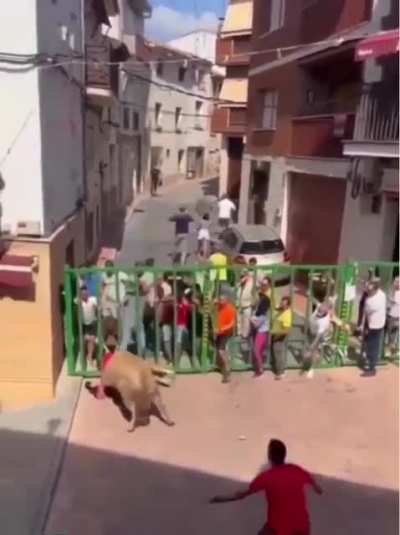 to outrun a bull