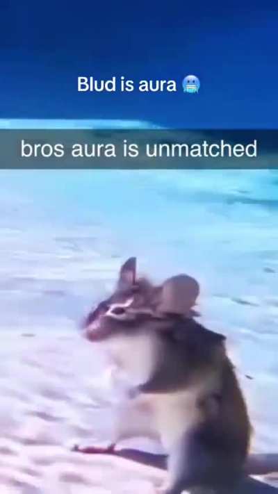 Il fait quoi Maître Splinter ?