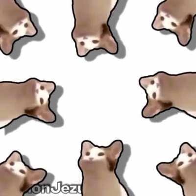 Rule but i’m running out of stuff to post for the rule