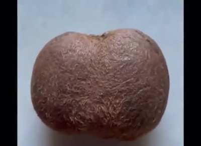 kiwi👍