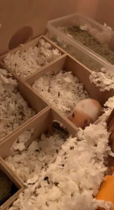 ???