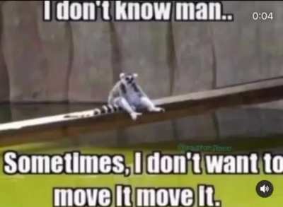 que le hicieron al rey julien? 😔