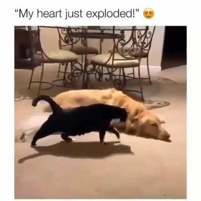 This is so heart warming