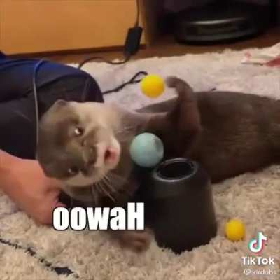 Jerry, I don't like that