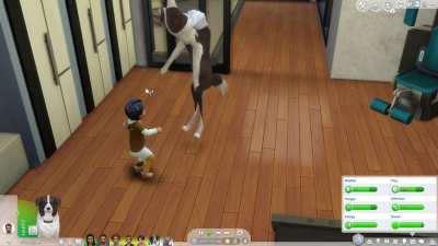 Hug the dog