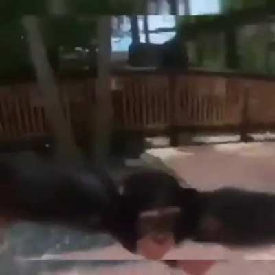 Uwun't