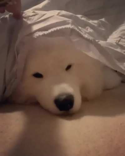 :D
