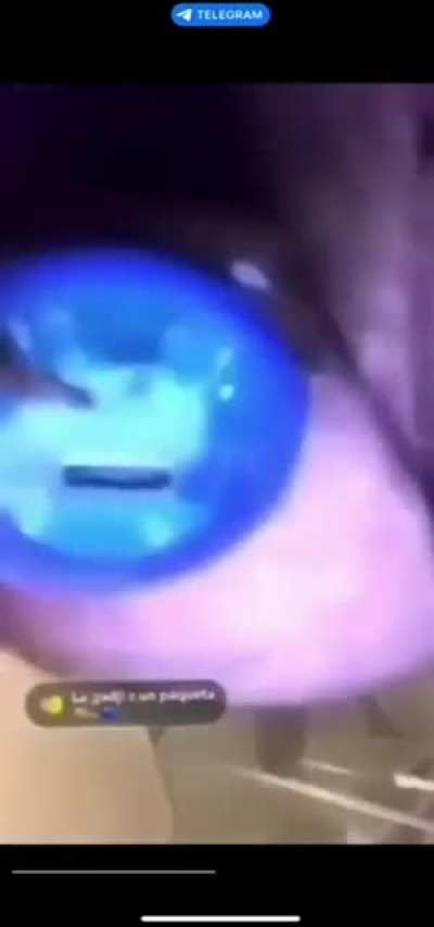 Paqueta vape video junge