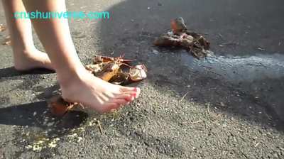 Lobsters meet a Girl Outside