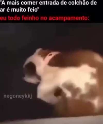 aaaaaaaa