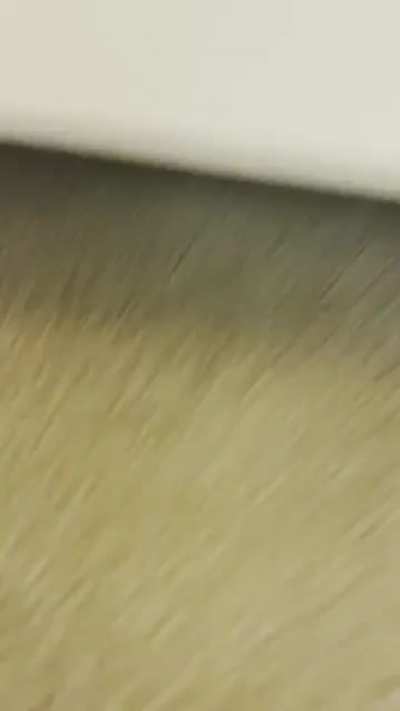 fell of the chair during filming