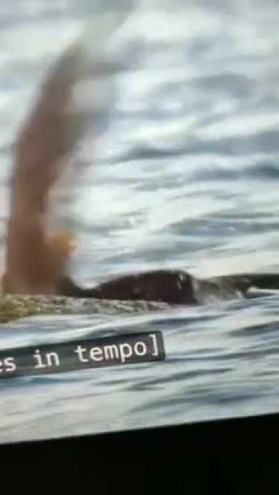 Crab got mad AF
