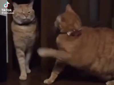 the video ever