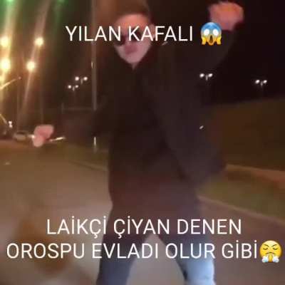 laikçi abi googlea pipi yaz komik oluyo😆