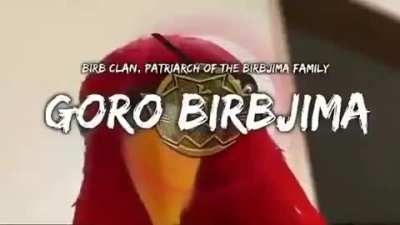 Birb
