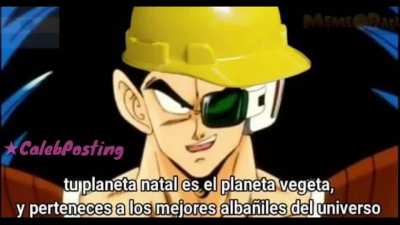 XD