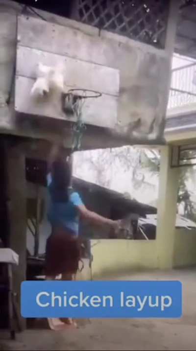 Vilken dunk