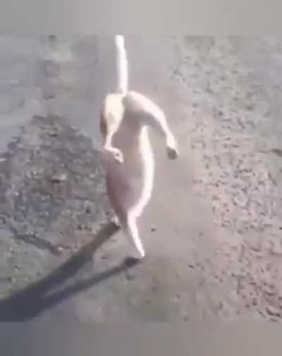 Only one shouldn't be that bad.