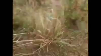 Pilot accidentally releases a missile while landing.