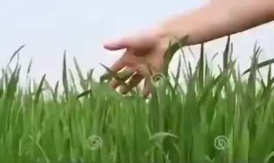 Touch