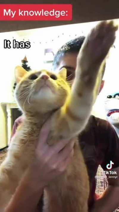 Cat knowledge