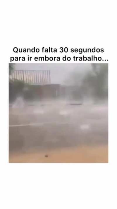 novidade