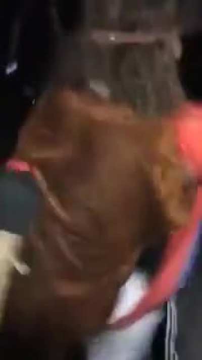 Cursed_fight