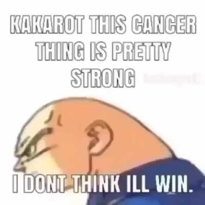 Yuo can mak it vegito 😤😁😀