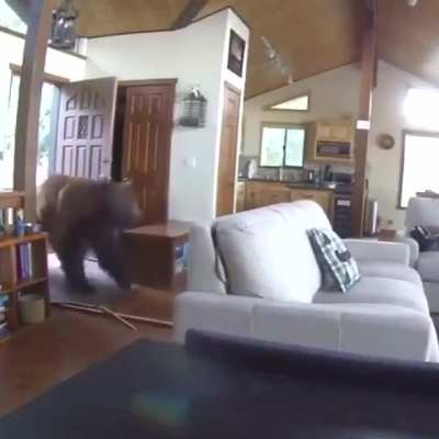 The way he just held the door for a second with his paw