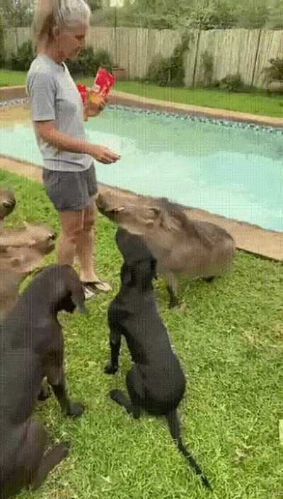 When you know how to find common ground with everyone.)