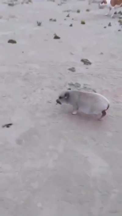 This made me sad but I know that he will endure, so I must too!