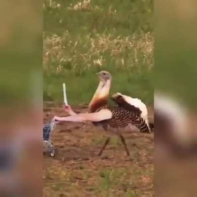 o ruim é que esse vídeo acaba