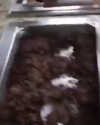 mac n cheese